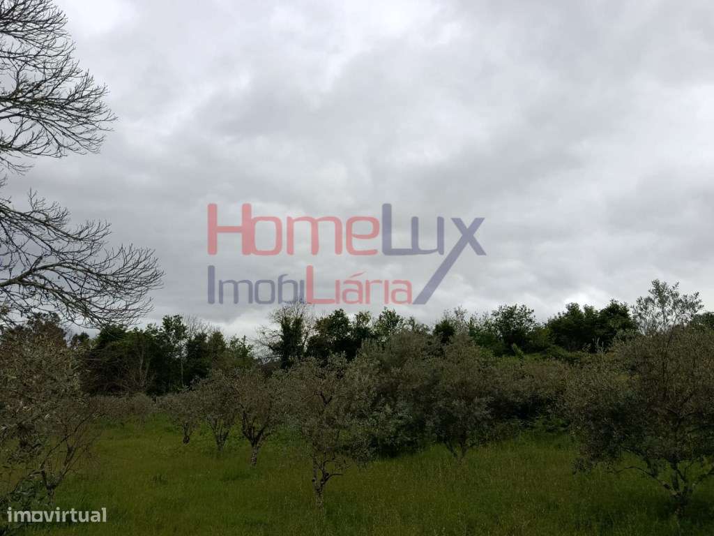 Quinta com Projeto para Turismo Rural em São Pedro do Sul-27