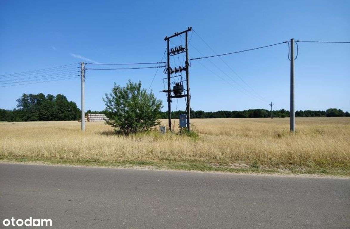 Duża działka z warunkami zabudowy w okolicy lasów - Pełny obrazek: 4/5