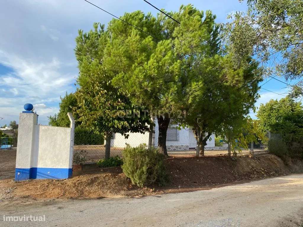 Quinta com 2,6ha, próxima da cidade de Montemor o Novo - Grande imagem: 5/27