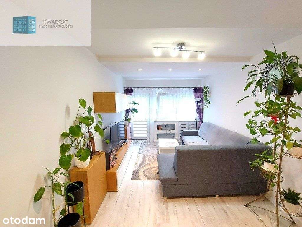 Super oferta! 2 rozkładowe pokoje Teofilów - Pełny obrazek: 3/9