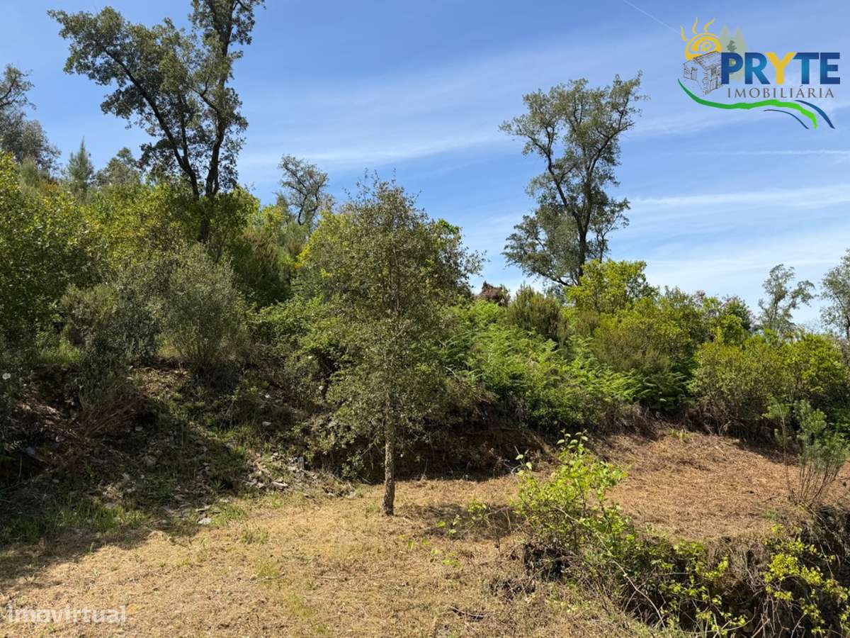 Terreno com uma ruína não registada a 6 quilómetros da Sertã-9