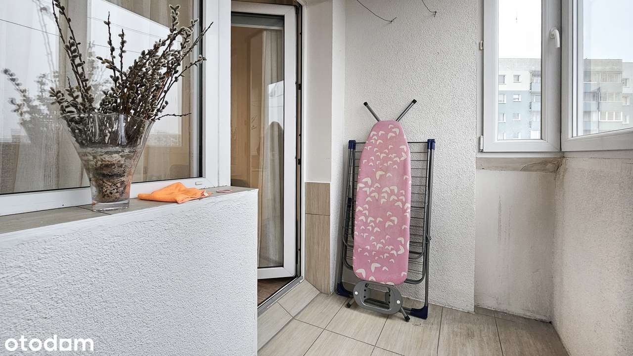 Zaspa, 2 pokoje z osobną kuchnią-10