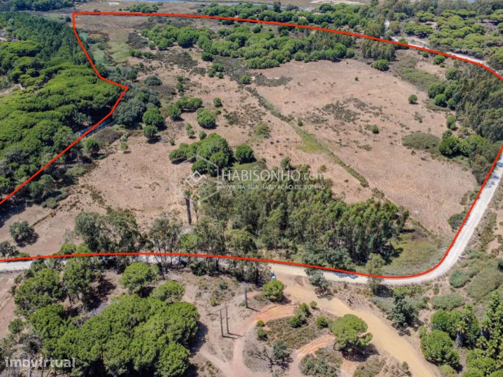 Quinta das Mouras | Faro | Montenegro - Grande imagem: 3/16