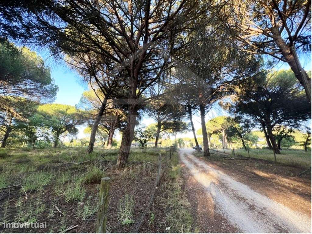 Terreno na Herdade do Zambujeiro - Grande imagem: 5/14