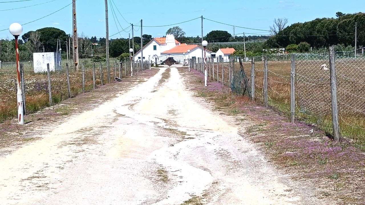 Quinta Pegões Velhos, junto á adega, com moradia e armazém lote 3,8 ha-52