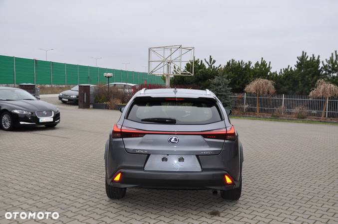 Lexus UX 250h - 6