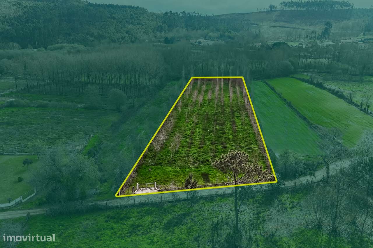 Terreno Rústico  Venda em Associação de freguesias do Vale do Neiva,Po-3