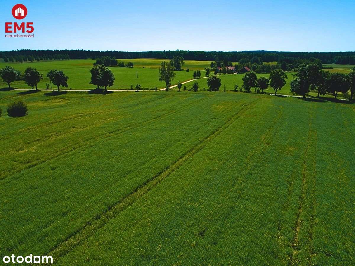 Pierwsza linia jeziora Harsz - działka budowlana. - Pełny obrazek: 5/6