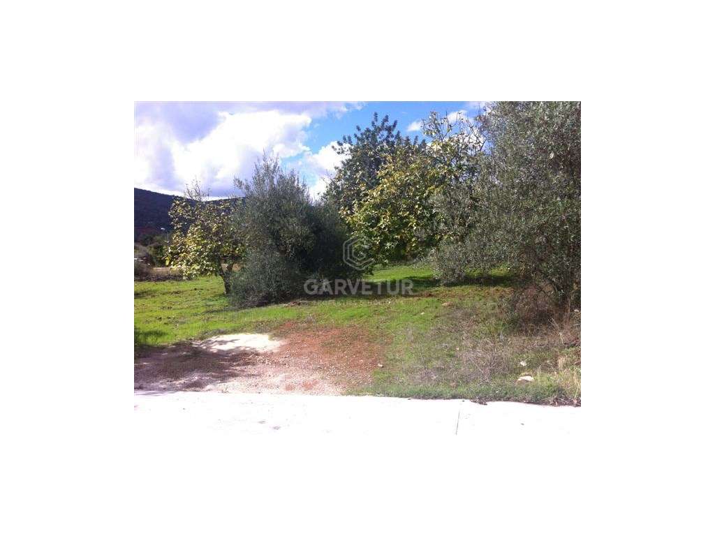 Lote de terreno urbano, Salir, Algarve - Grande imagem: 2/11