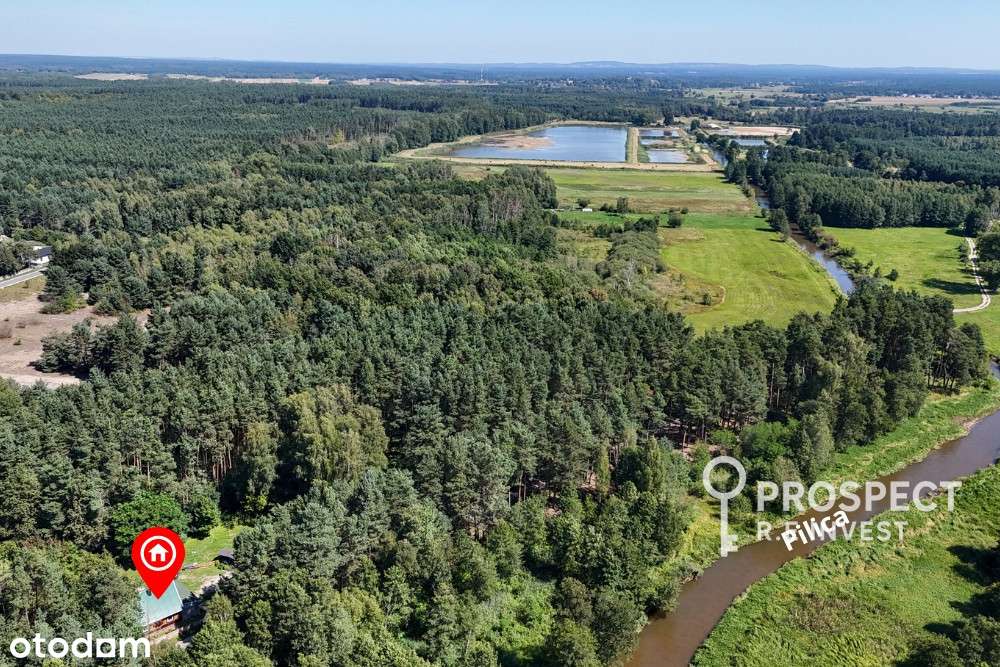 Dom, własny kawałek lasu, blisko rzeki, Pukarzów-18