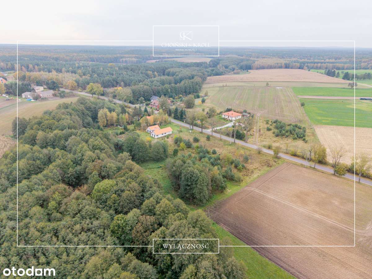 Boduszewo | Puszcza Zielonka | Bez prowizji! - Pełny obrazek: 4/9