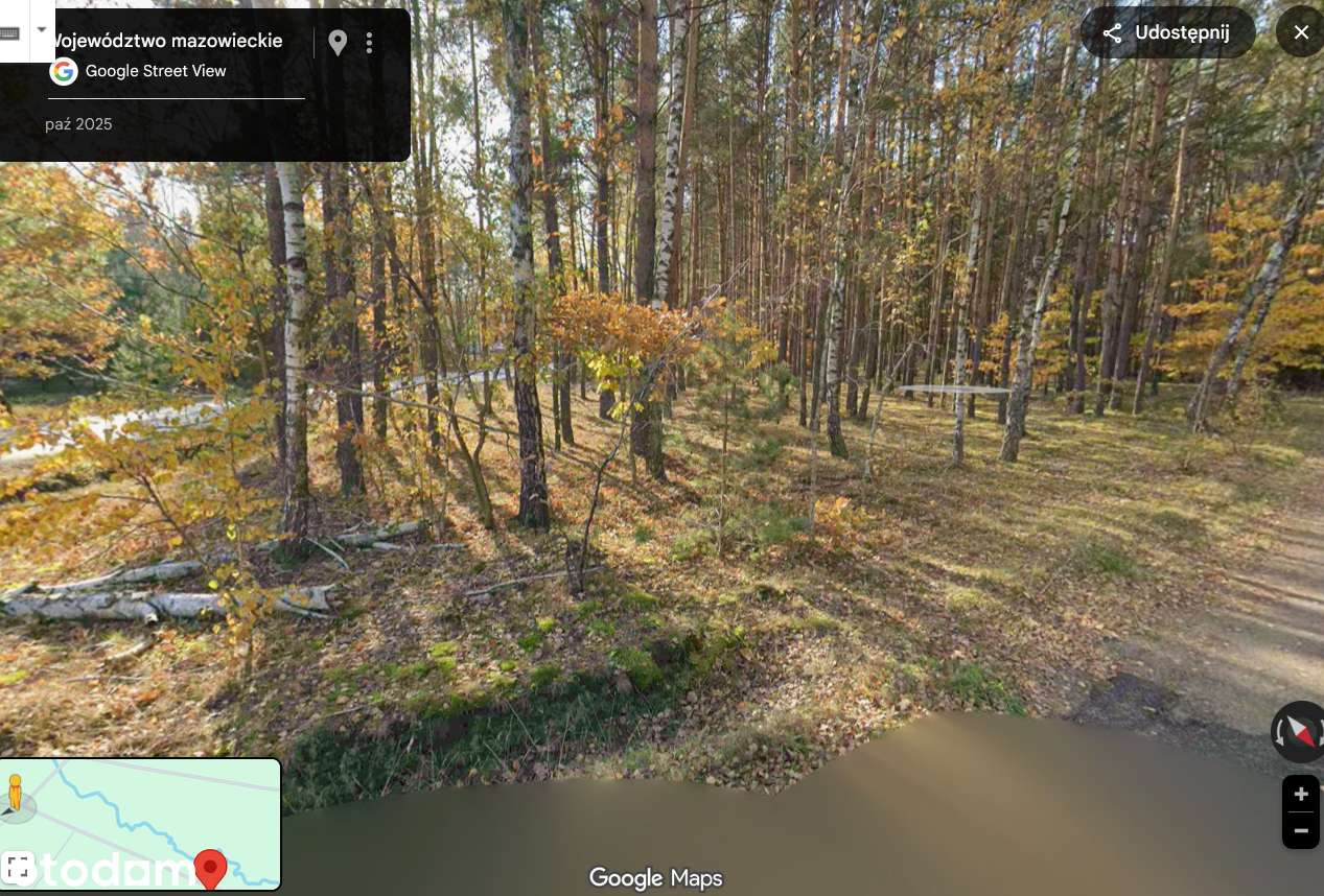 Piękna działka Wólka Kokosia, gmina Dobre - Pełny obrazek: 5/5