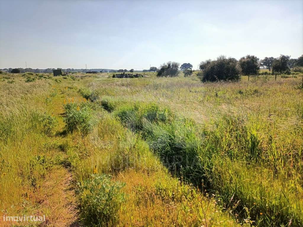 Terreno Foros da Charneca-10