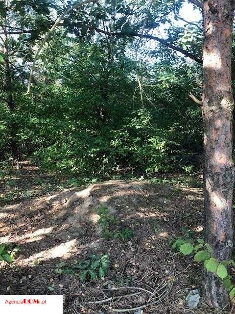 Władysławów(k.Siestrzeni),prąd,gaz,woda,budowlana,-1