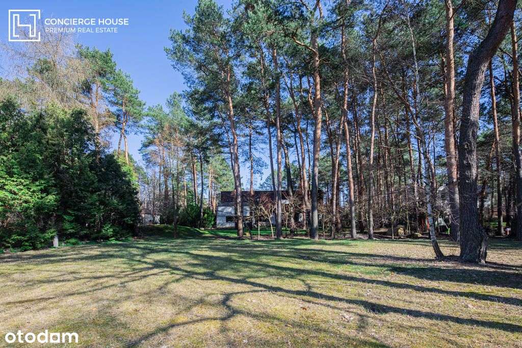 Dom w Radości | Magiczna działka ze starodrzewiem-17