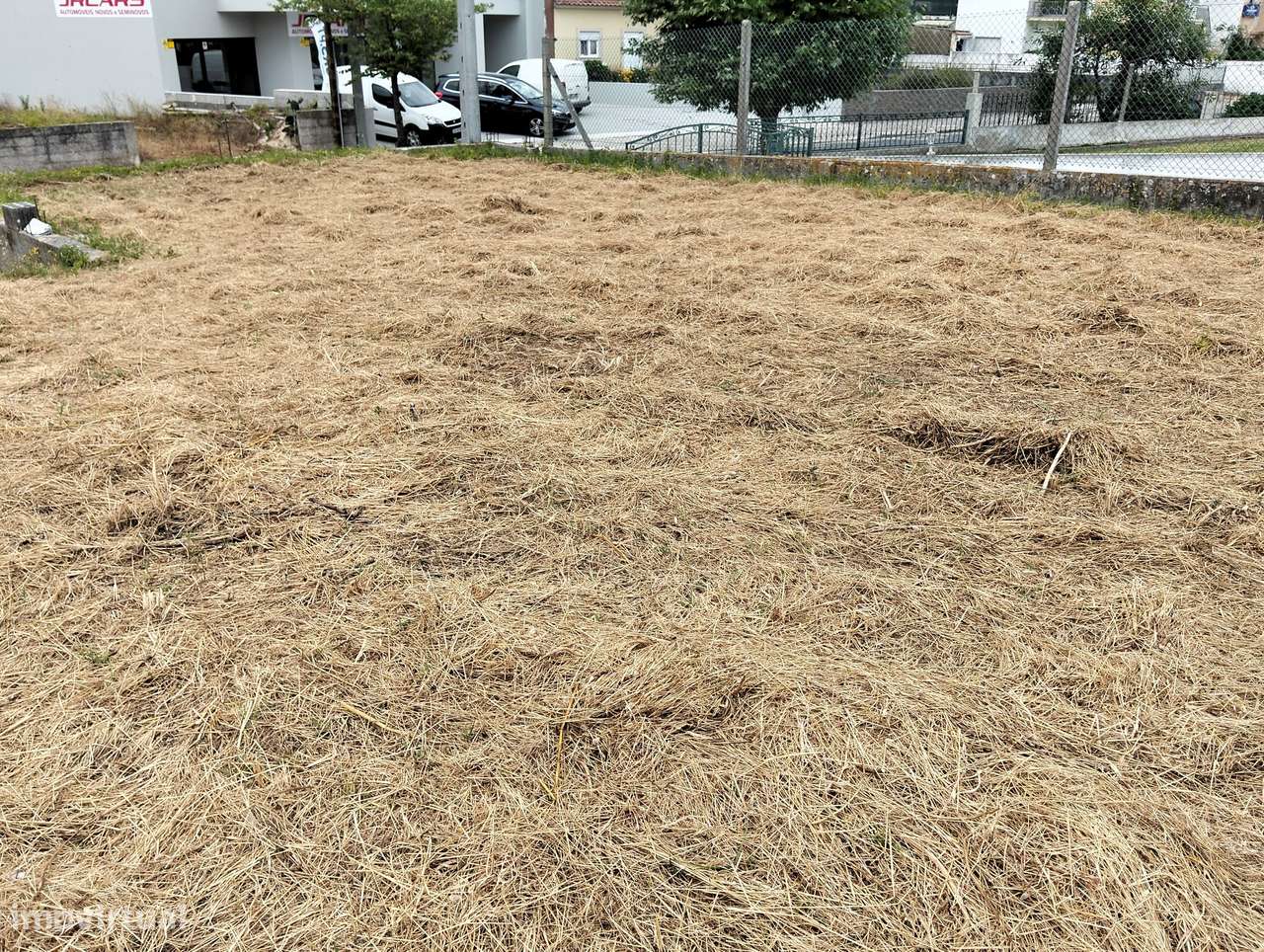 Terreno p/construção avenda principal Valado-Frades -Nazaré-Leiria-7