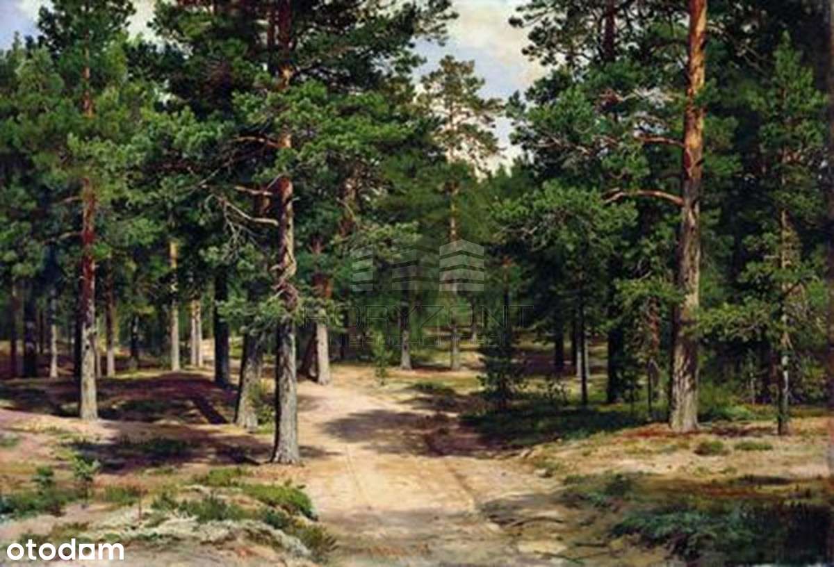 Zamość - 9534m2, WZ na 9domów-doskonała inwestycja-9