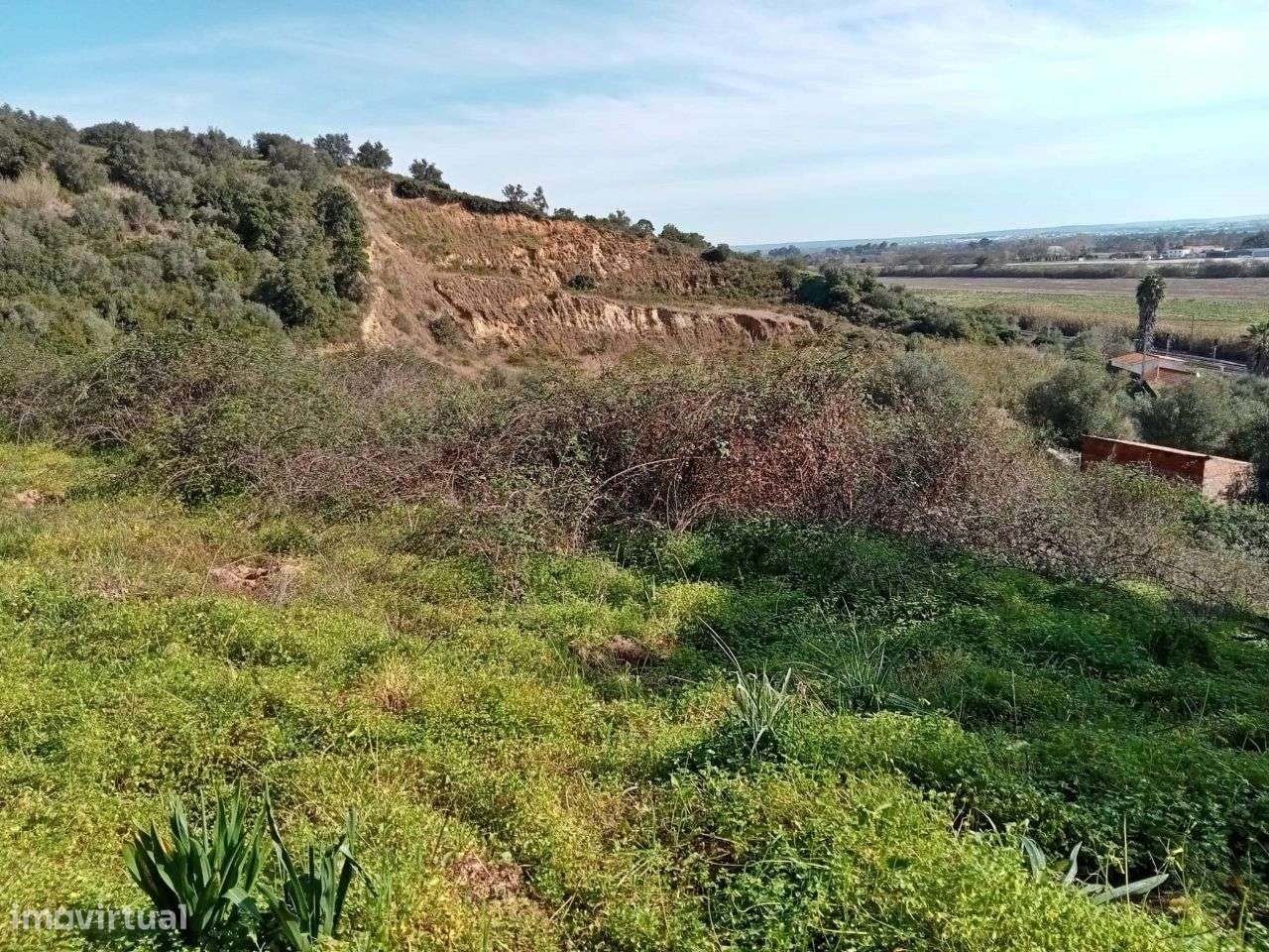 Terreno com 13000 m2 em Santarém - Grande imagem: 5/9