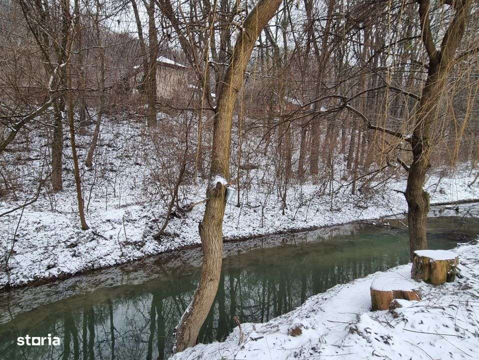 Hemeius- Teren cu deschidere la padure si parau. Cu salcie la mal!-0