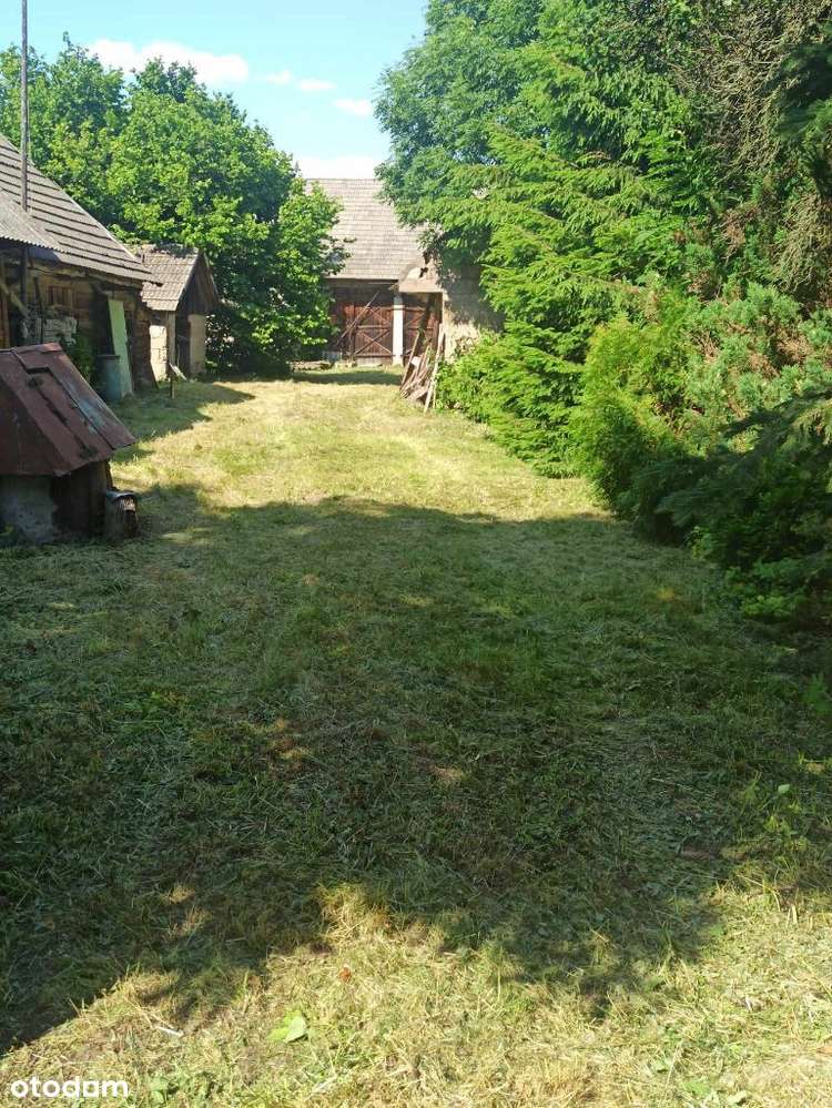 Siedlisko w miejscowości Krzywiec - Pełny obrazek: 4/6