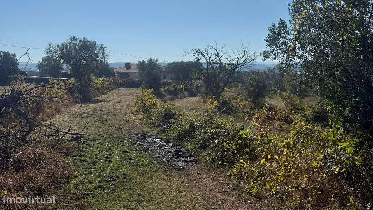 Quinta de 12.200m2 com Potencial Ilimitado, em Lordelo - Vila Real-9