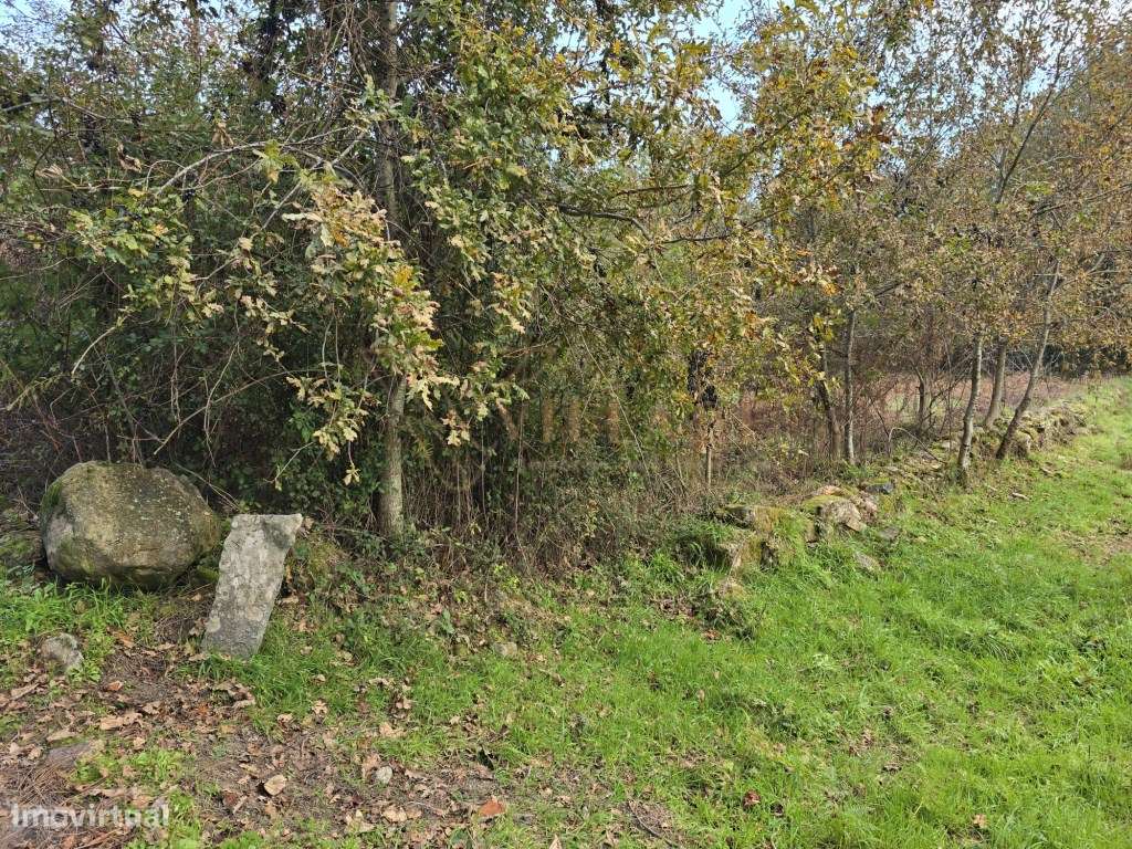 Terreno - Grande imagem: 4/8