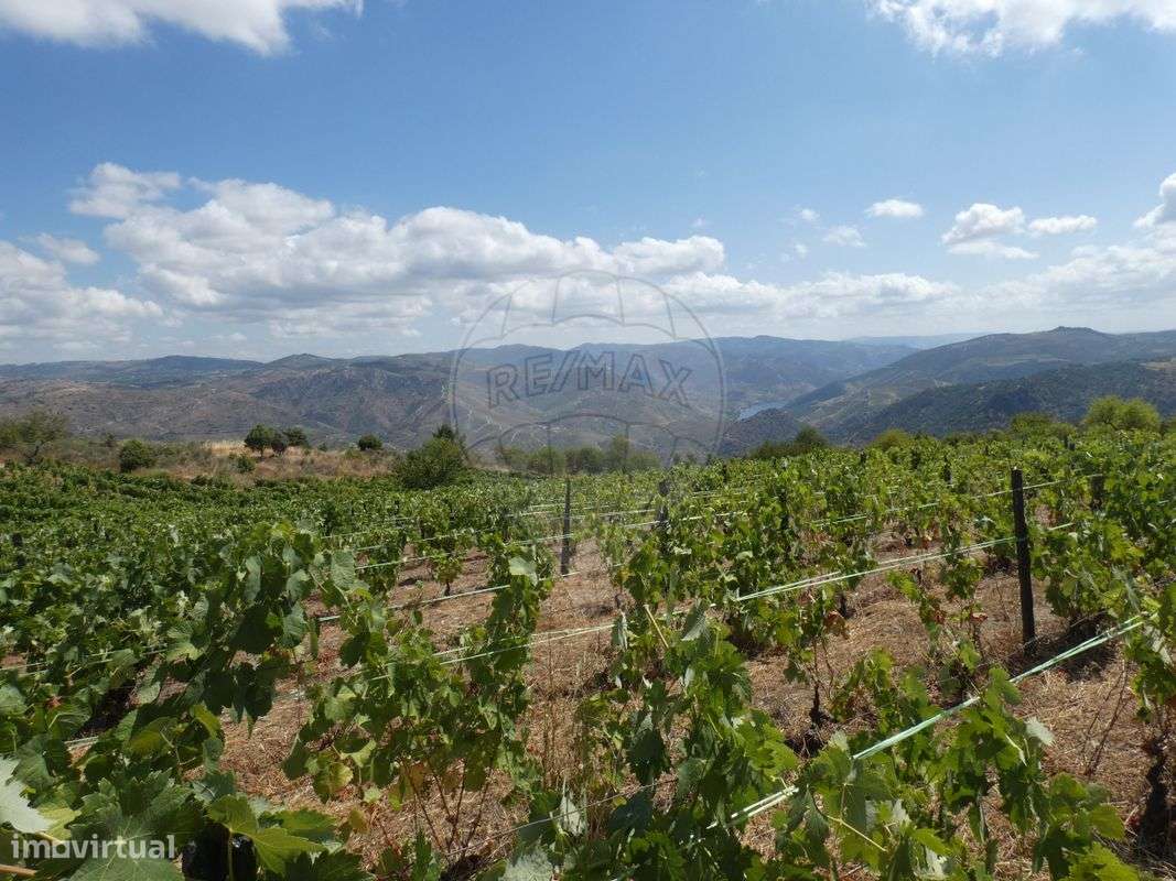 Terreno  para venda - Grande imagem: 5/7