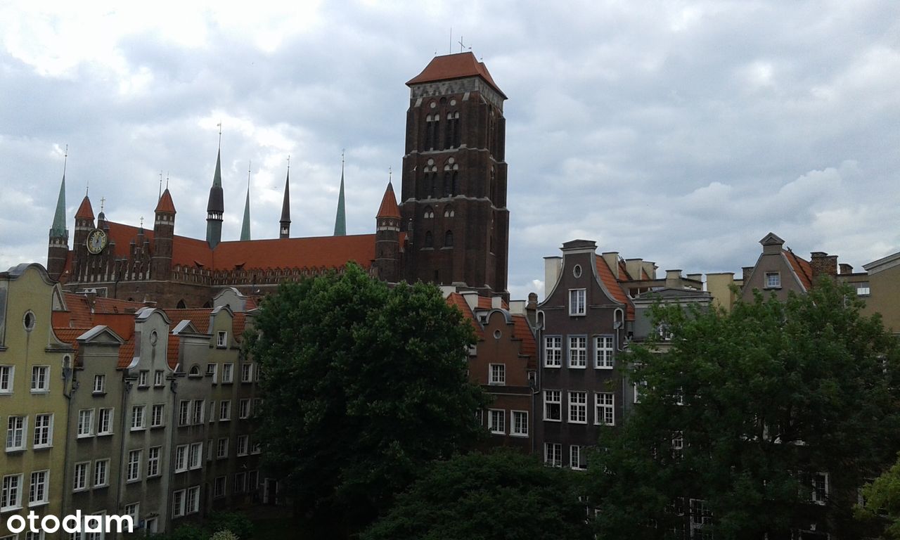 Gdańsk Śródmieście, 2 pokojowe,osobna kuchnia, parking, na min. rok - Pełny obrazek: 1/16