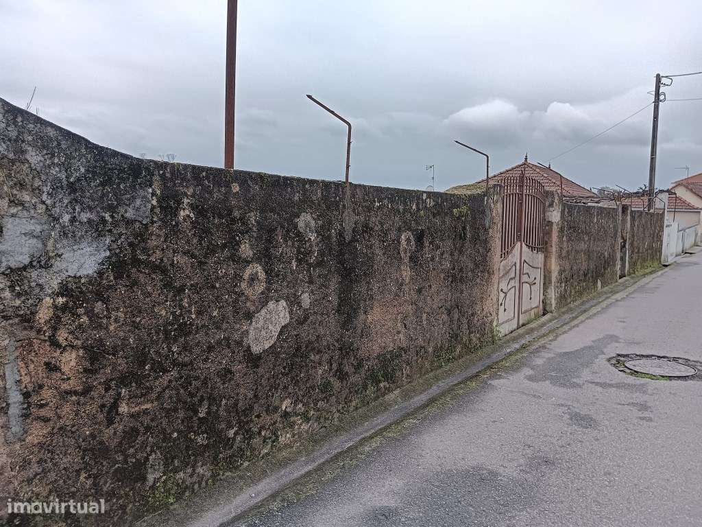 Terreno para Venda - Albergaria -a - Velha / Branca - Grande imagem: 3/20