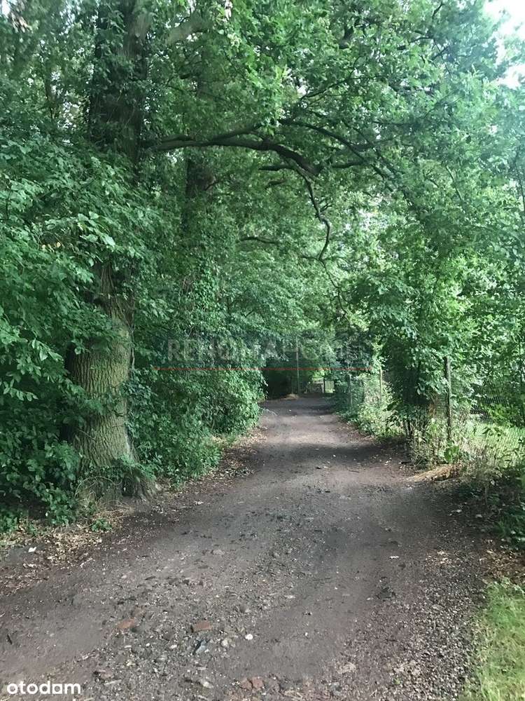 Dla developera|mieszkaniowa|usługowa|droga|media - Pełny obrazek: 5/8