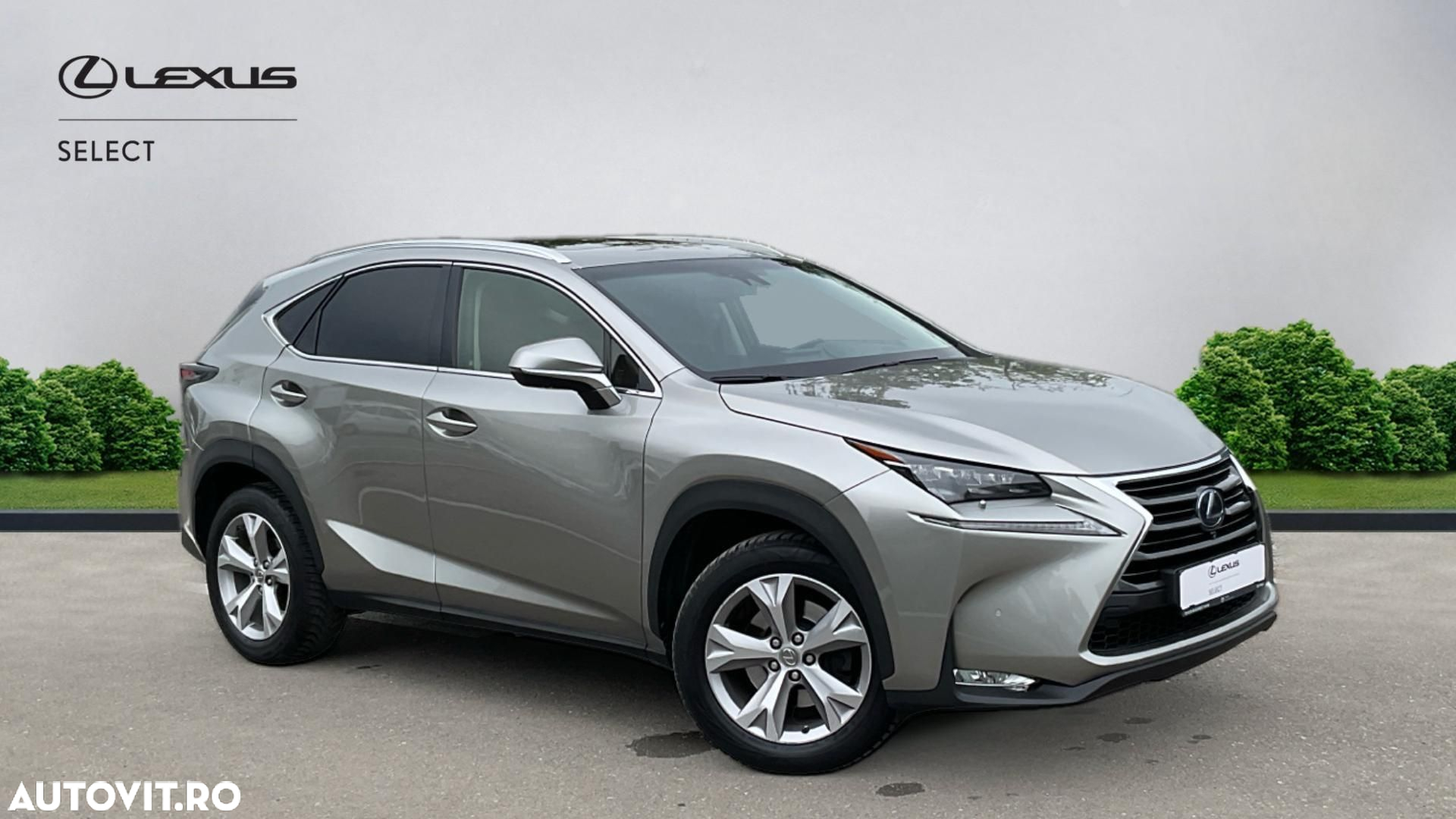 Lexus Seria NX 300h Luxury - 19