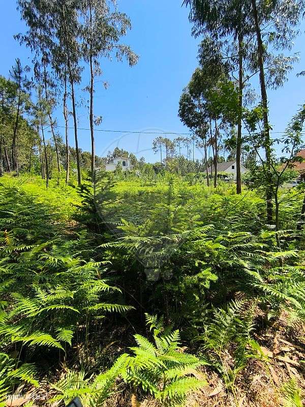 Terreno  para venda - Grande imagem: 5/9