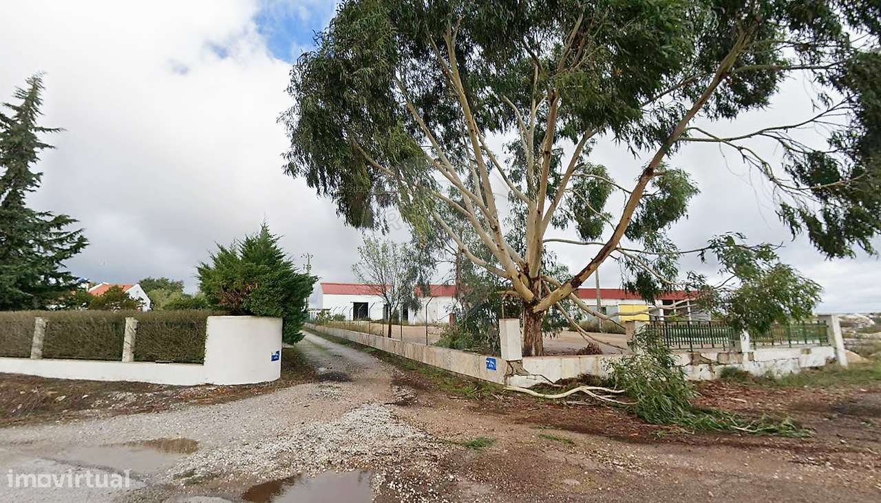 Terreno  para arrendamento - Grande imagem: 5/10