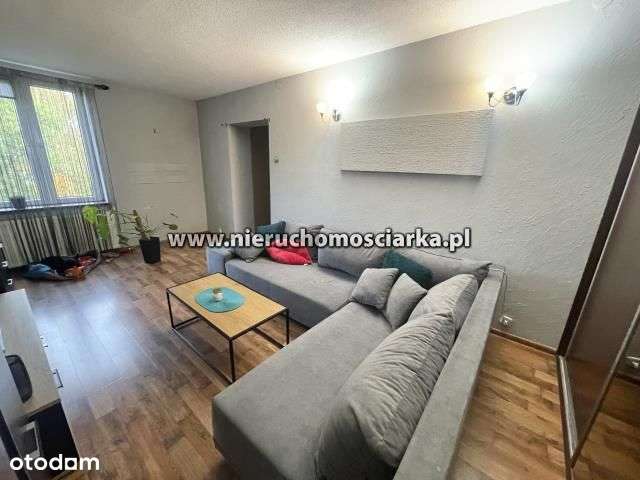 Mieszkanie 38,26 m2, Rydułtowy ul. Mickiewicza - Pełny obrazek: 4/10