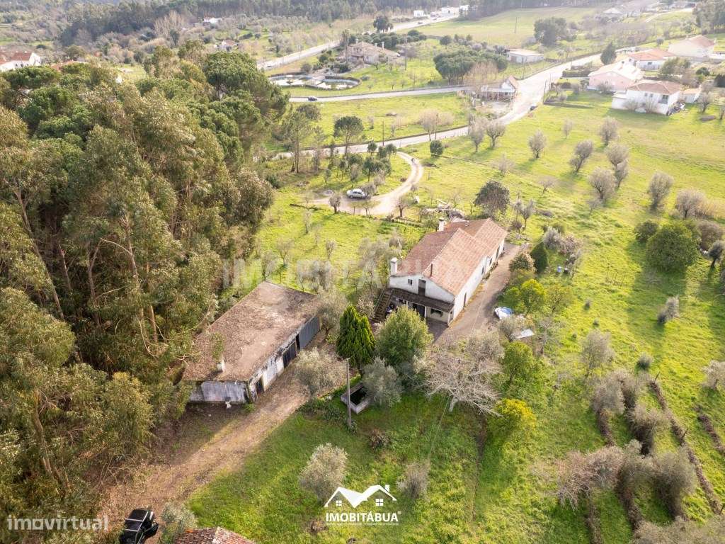 Moradia T3+2 com terreno de cultivo e anexo-16