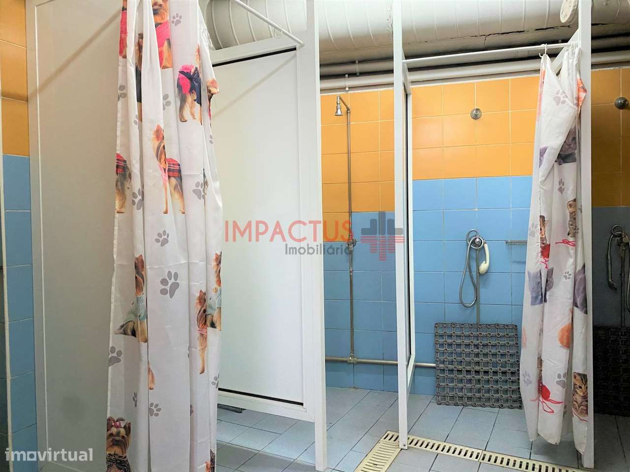 Espaço equipado para ginásio - Grande imagem: 4/14