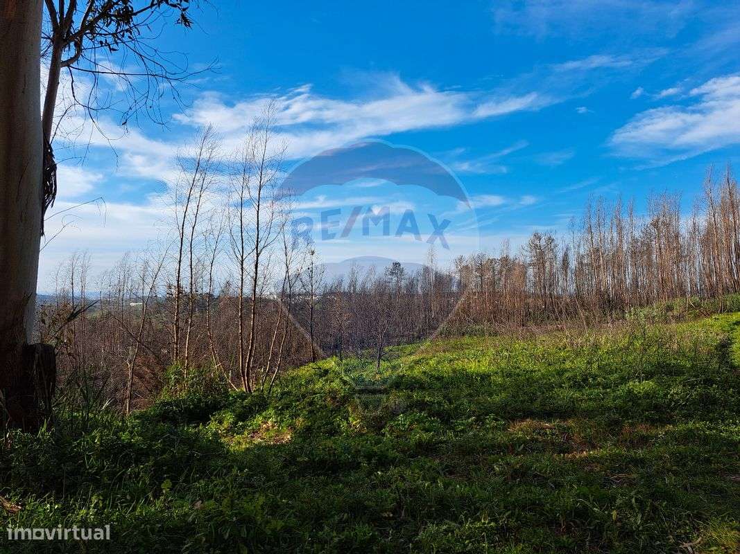 Terreno  para venda - Grande imagem: 5/13