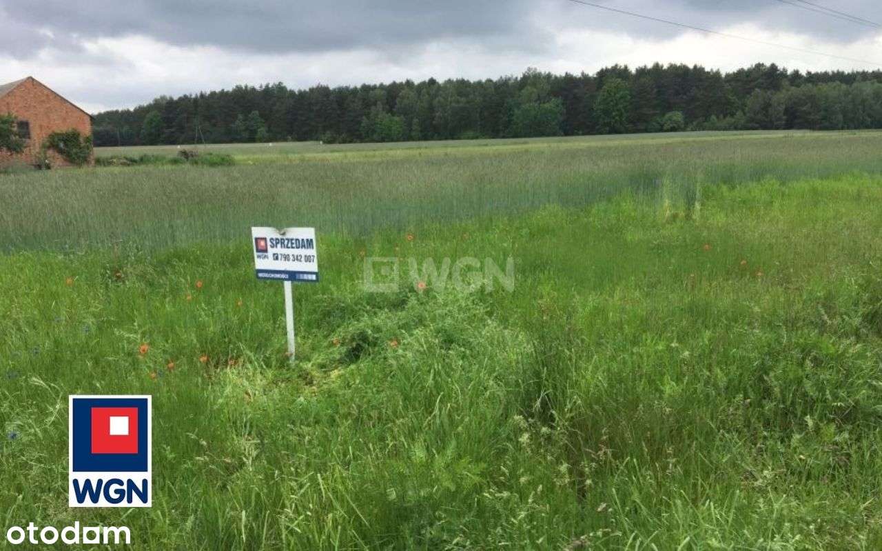 Działka, 12 000 m², Zalesiaki-Pieńki - Pełny obrazek: 2/9