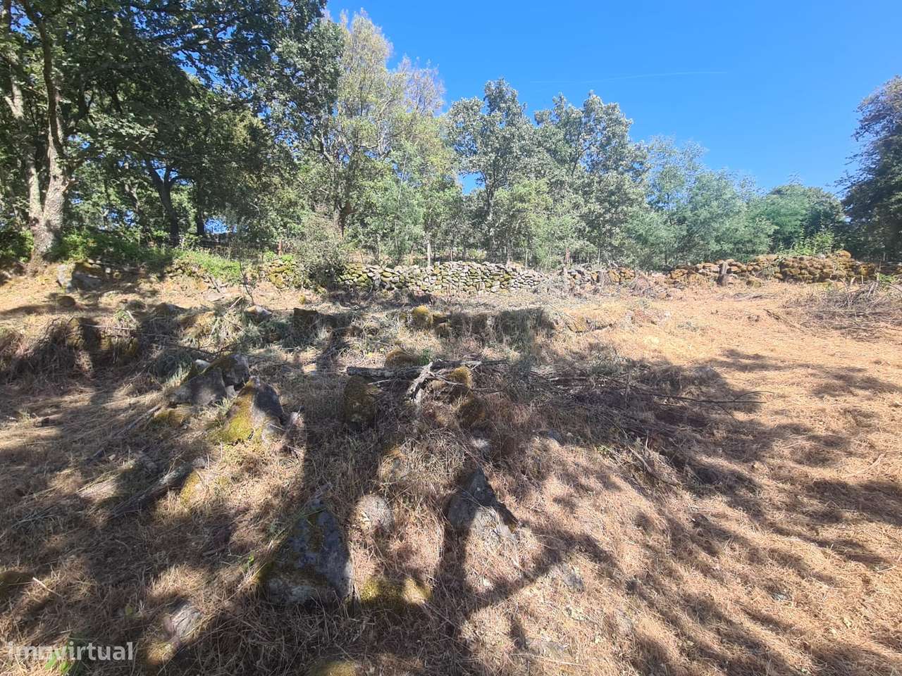 Marvão - Moradia ant. 1951 - Lote 2878 m2, Serra S. Mamede-15
