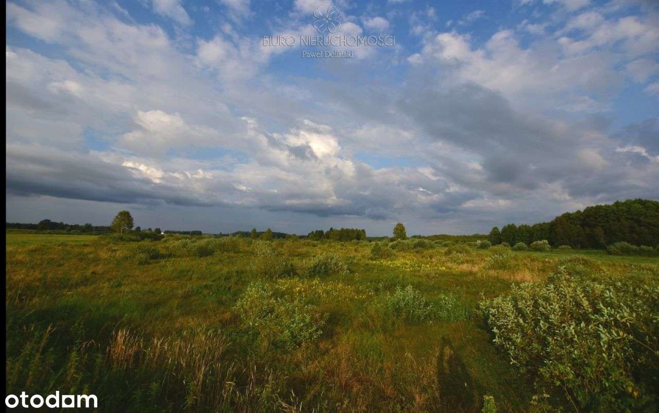 Działka rolna Istok - Pełny obrazek: 4/6