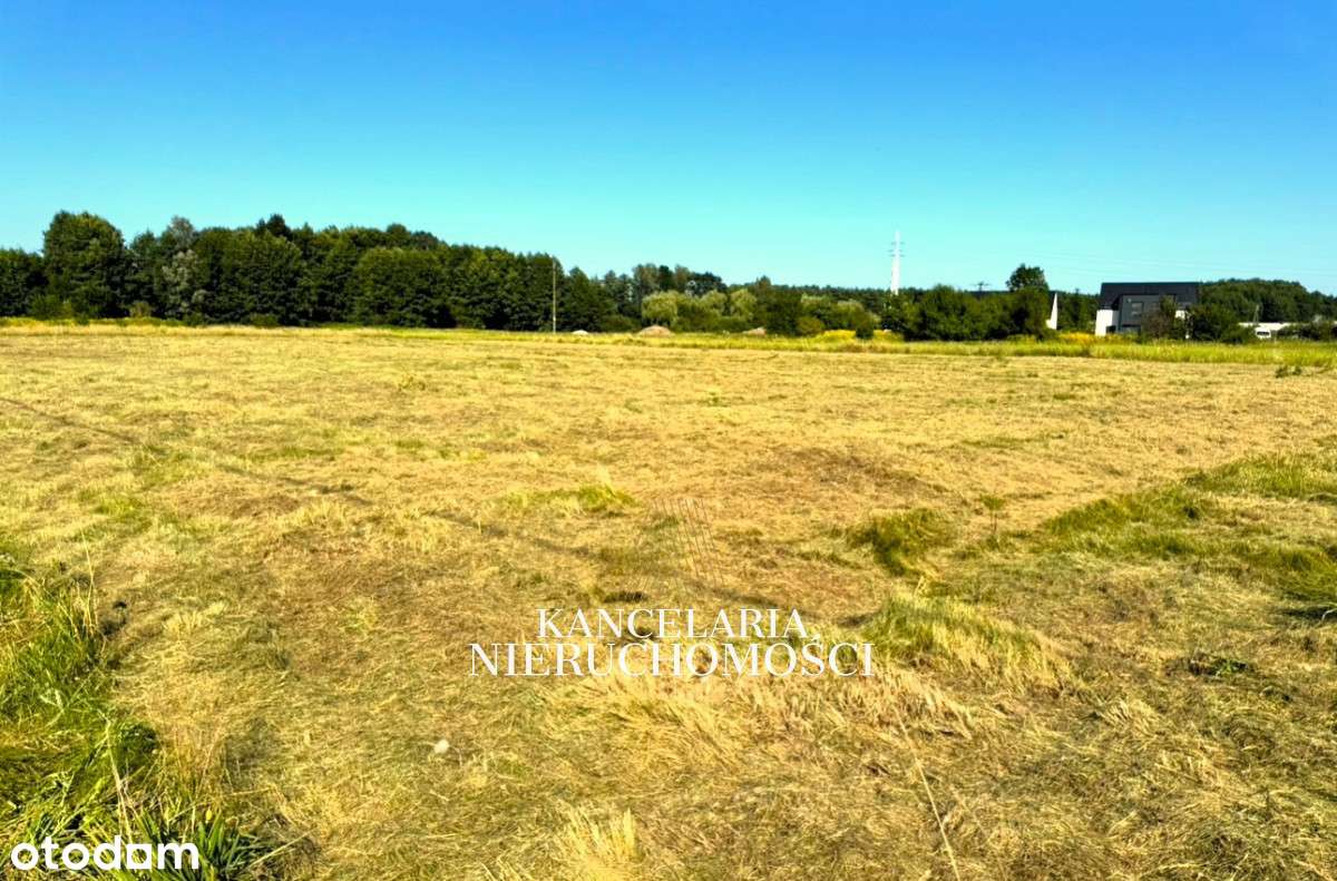 Perełka! Działka budowlana 17 ar w otoczeniu lasu! - Pełny obrazek: 5/8