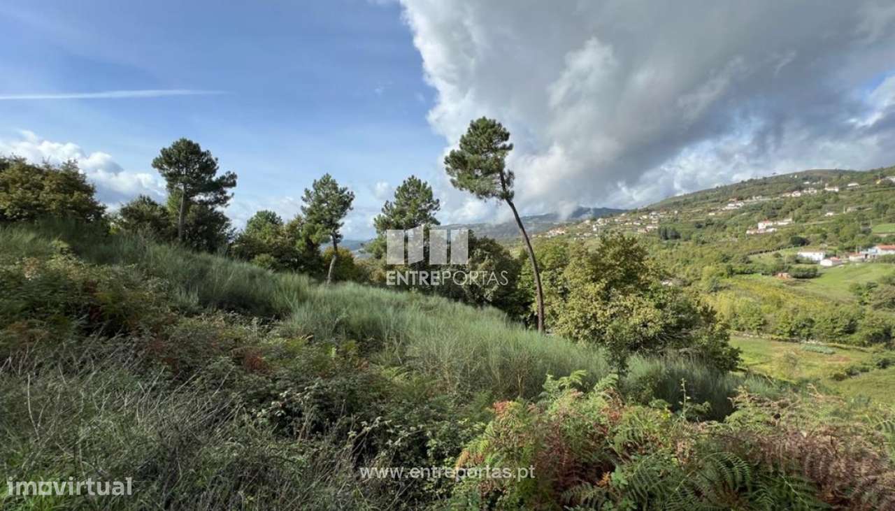 Venda Terreno, Gestaçô, Baião - Grande imagem: 5/29
