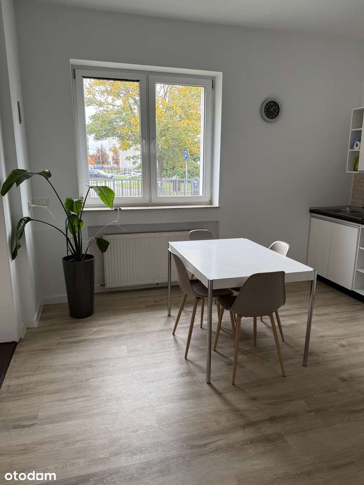 Wynajmę CAŁY DOM w centrum Śremu dla 9 osób, 9-person house for rent - Pełny obrazek: 5/20