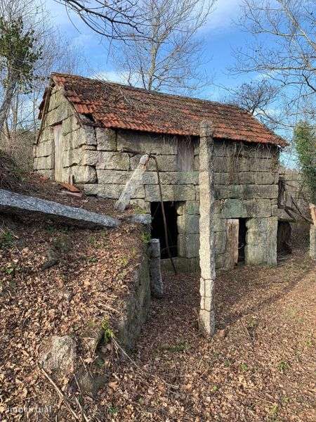 Quinta Margem Rio Tamega - Grande imagem: 3/11