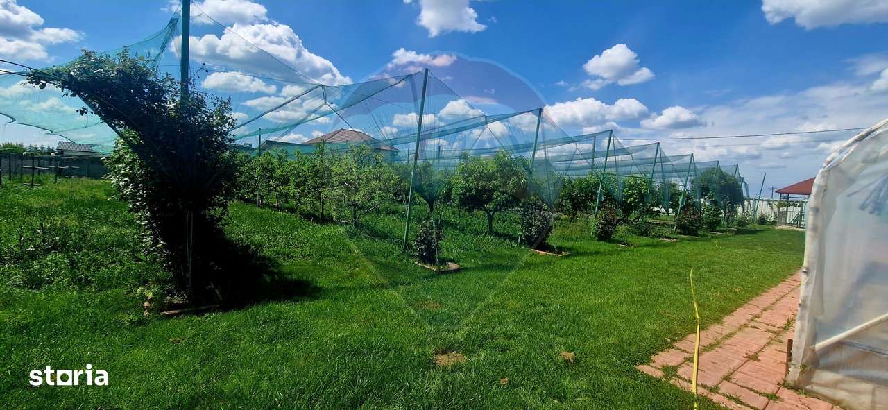 TEREN Investitie livada cu 116 pomi fructiferi in Comuna Livada - Imagine principală: 3/11