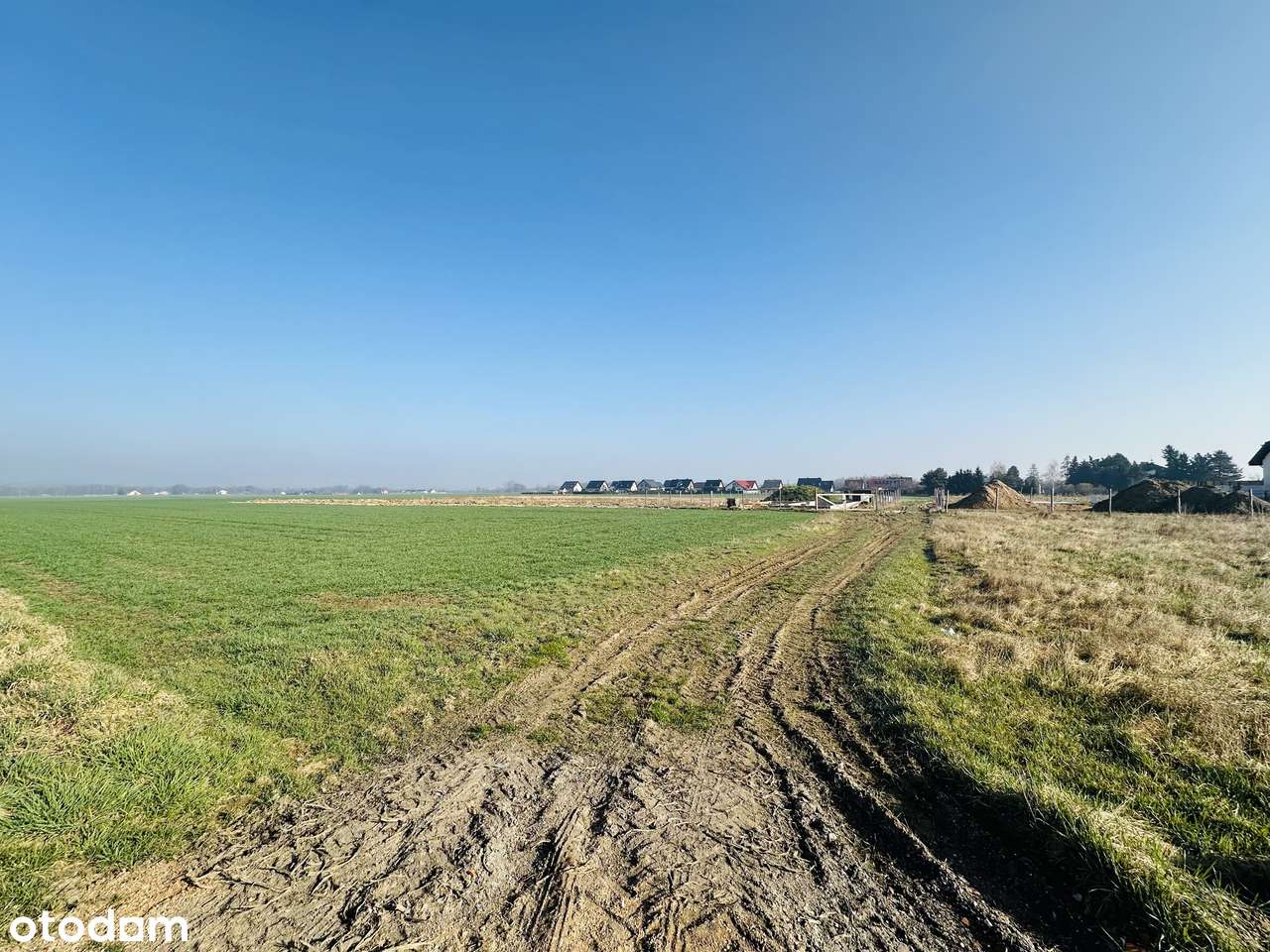 Działki budowlane Gołaczów - Pełny obrazek: 5/5