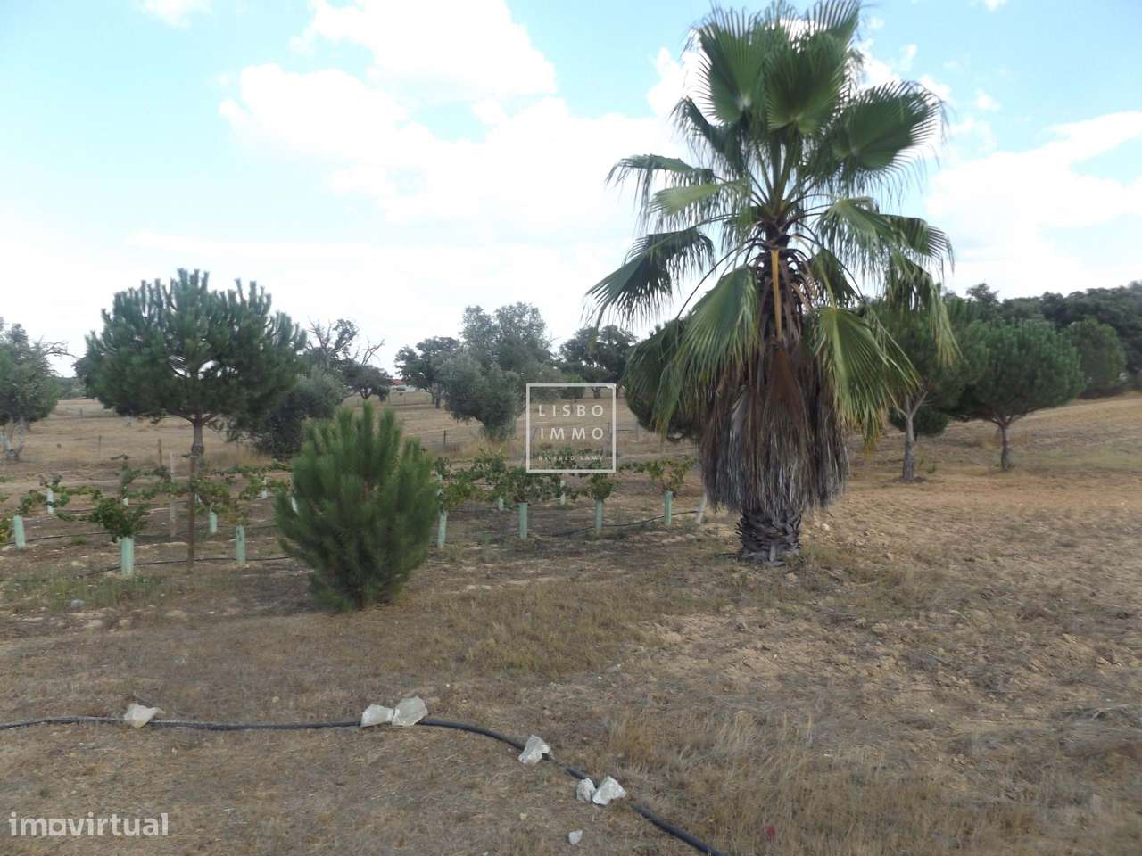 Quinta de 550m2, terreno de 18416m2, 5 suítes, piscina, Grandola, Setu-23
