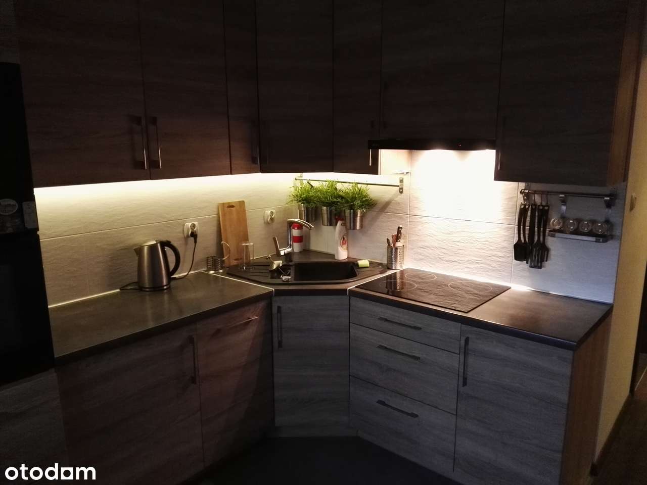 3 POKOJE | 65m2 | ODDZIELNA KUCHNIA ORAZ WC | ZIELONA OKOLICA - Pełny obrazek: 5/16