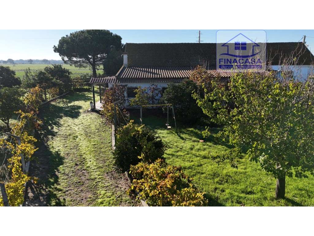 EXCLUSIVO - Quinta com 2069 m2, T1 e um armazém - Asseiceira(Palmela)-43