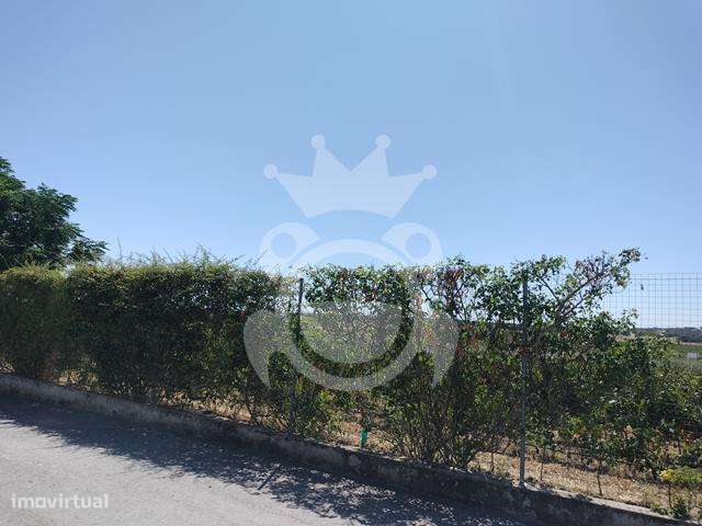 Lote de terreno com projecto - Grande imagem: 5/13